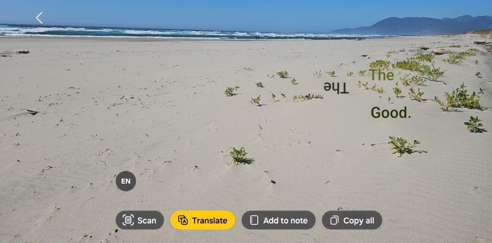  sunny day at Manhattan Beach State Park, OR.  Superimposed on the photo are Google's valiant attempts at translating the beach plants into English.