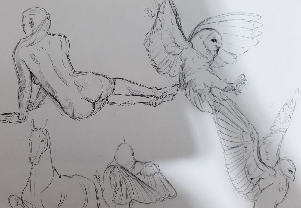 croquis_human and birds and horse