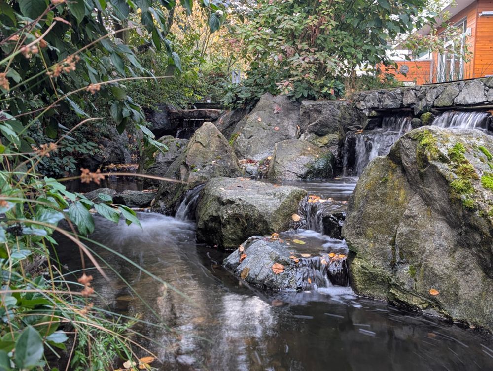 A human-made stream behind residential areas.
