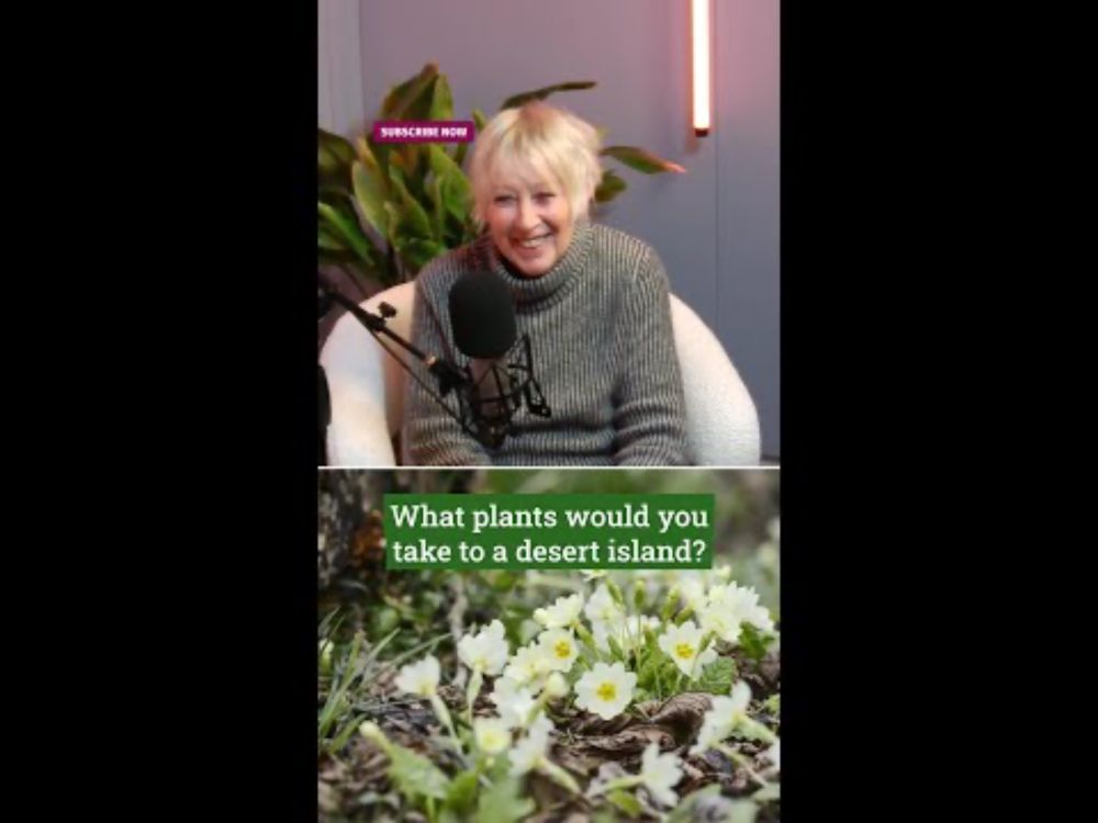 Carol Klein's Desert Island Plants