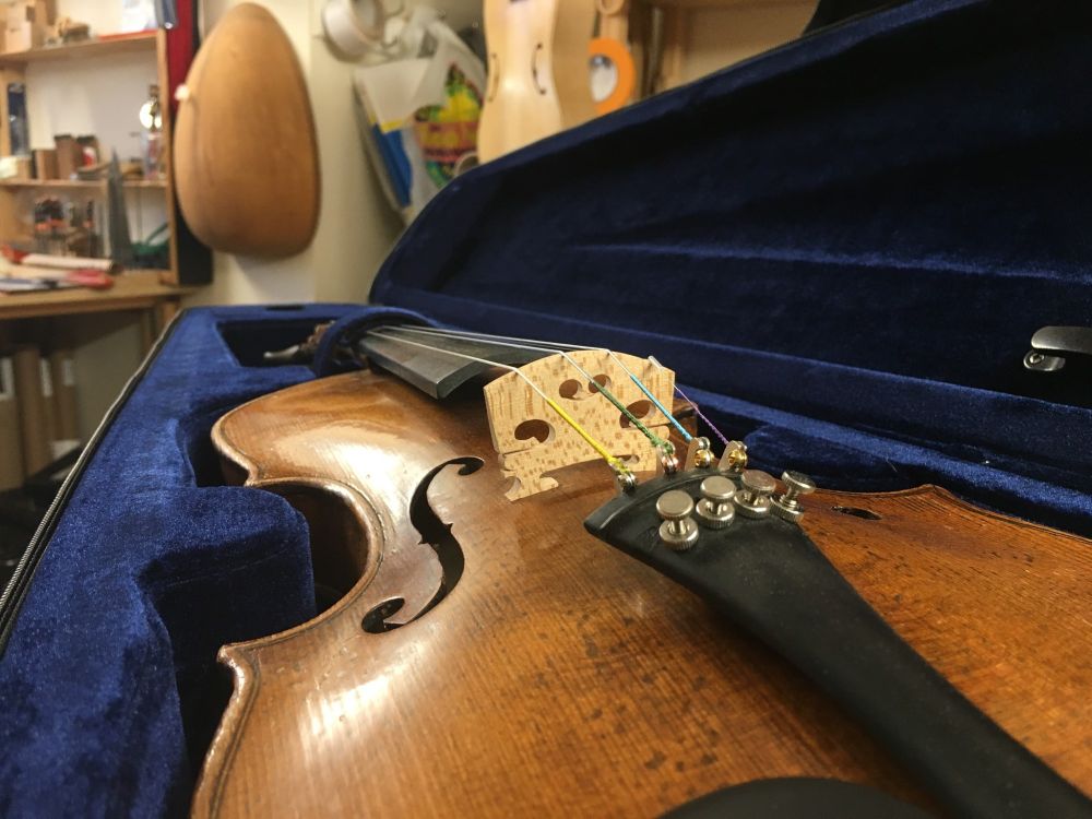 Violin warped bridge replacement

New bridge fitted is fitted.