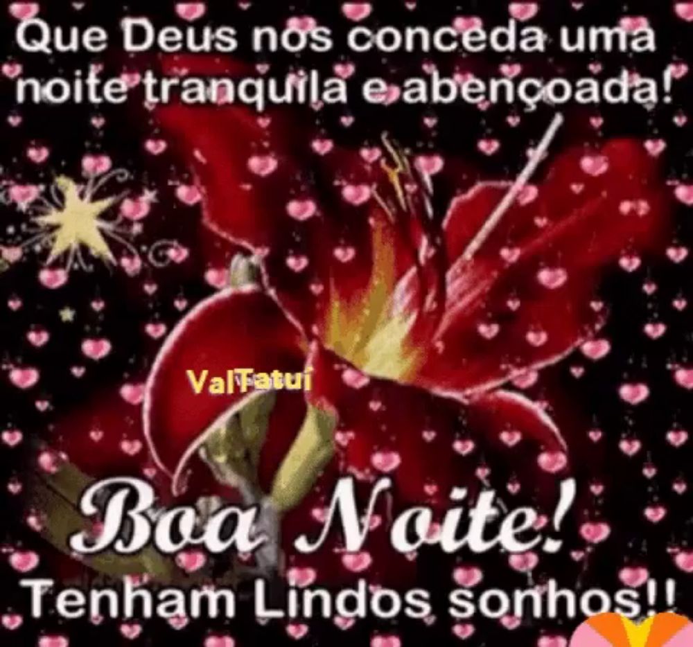 a red flower is surrounded by pink hearts on a black background with the words `` boa noite ! ''