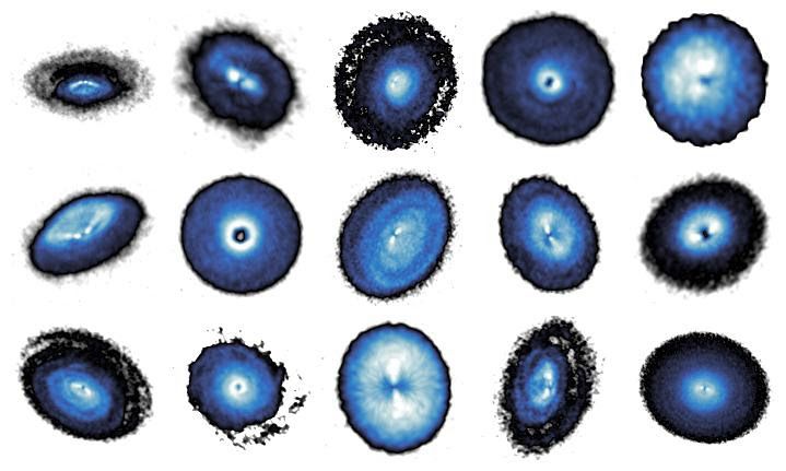 Fifteen protoplanetary disks observed with the exoALMA large program 