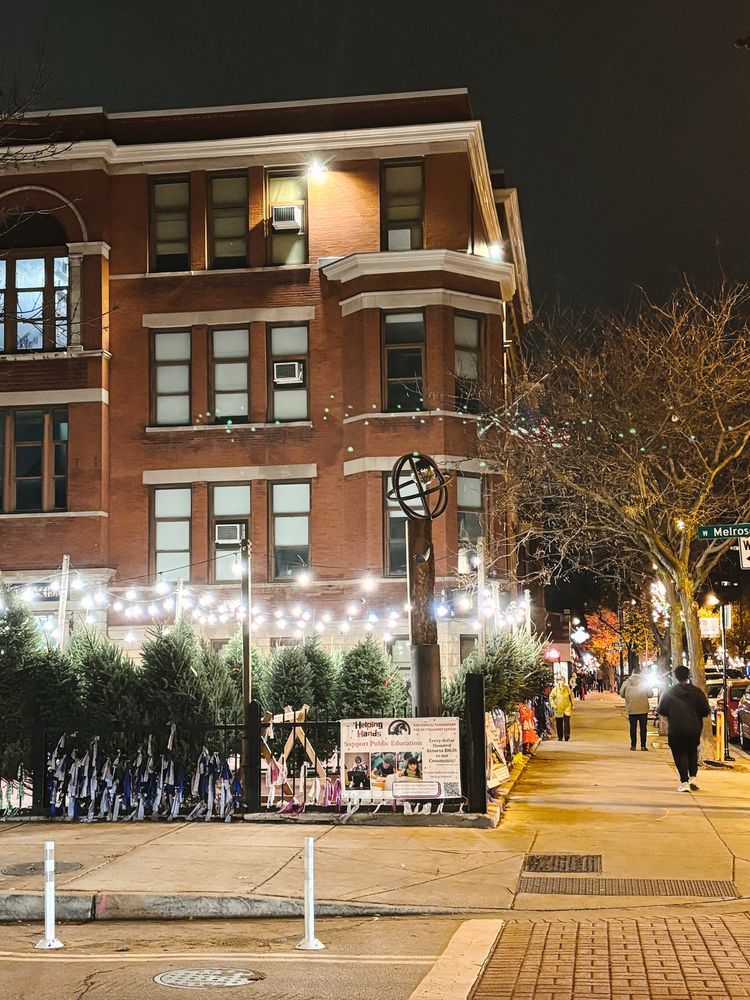 A Christmas tree farm at a school