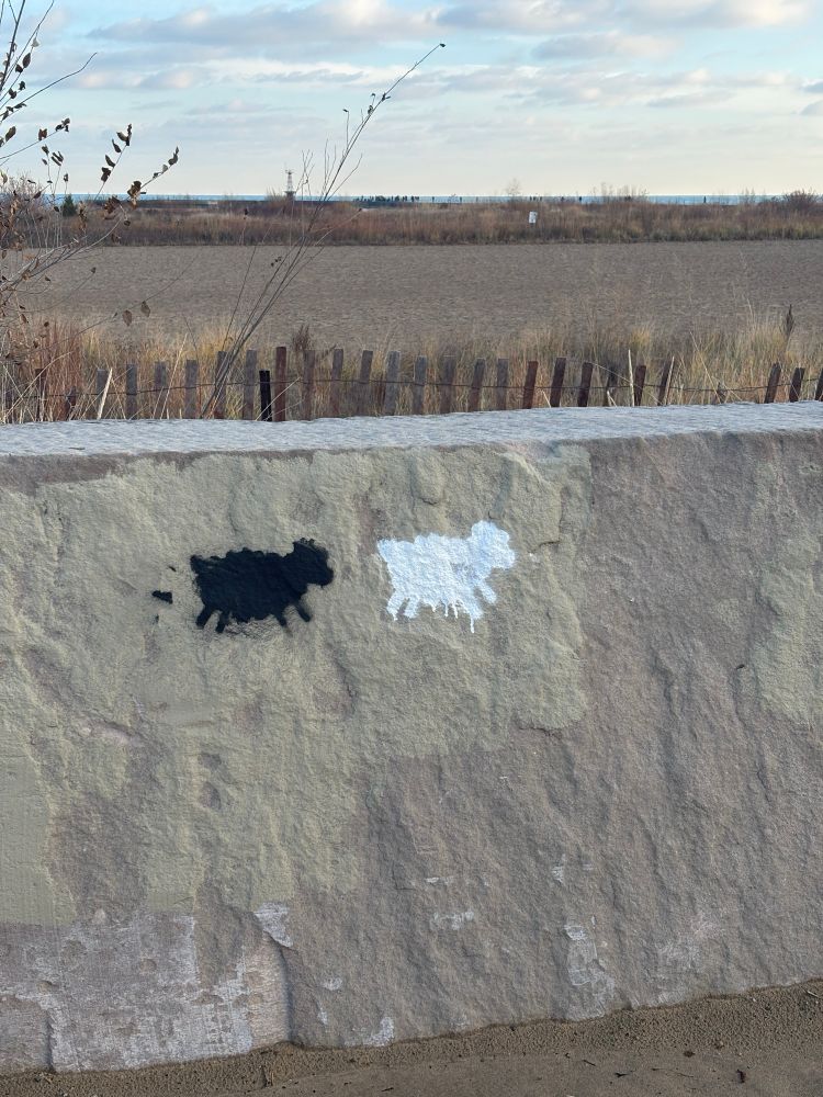 A cave drawing at Montrose harbor