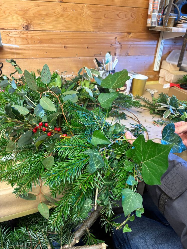 The makings of a Christmas wreath. Bundles of foliage are being tied to a wire frame.