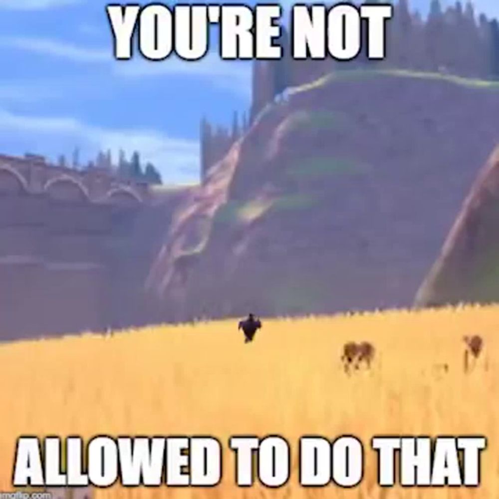 a meme of a person running in a field with the words `` you 're not allowed to do that '' .