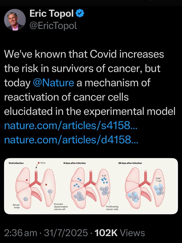 Eric Topol & @EricTopol
We've known that Covid increases the risk in survivors of cancer, but today @Nature a mechanism of reactivation of cancer cells elucidated in the experimental model