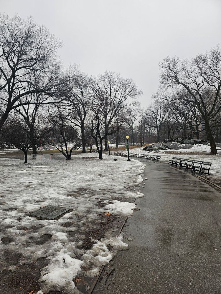 Rain washing away snow in Central Park 