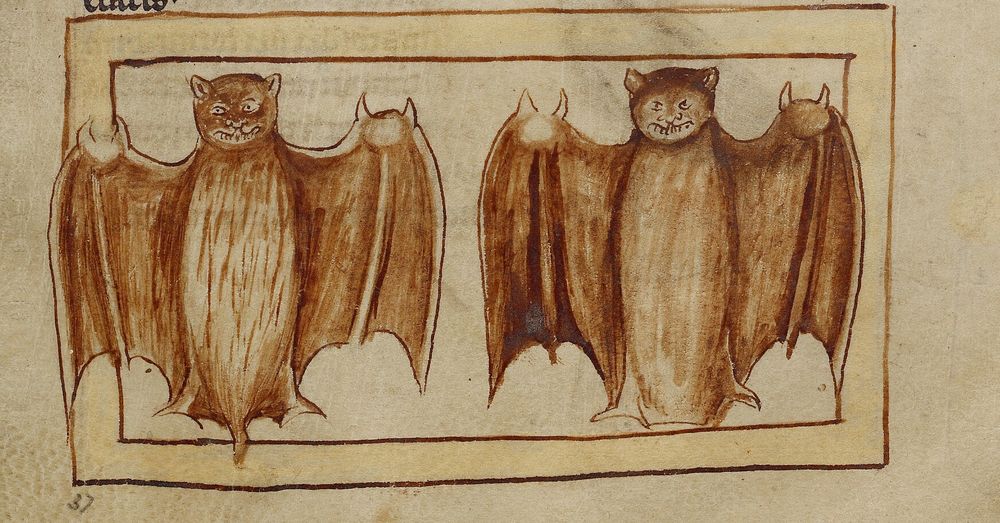 Painting in a medieval manuscript. Two bats stand side by side with wings outstretched. There is a frame drawn around them but their wings and one tail is in front of the frame. They look scary with sharp teeth.