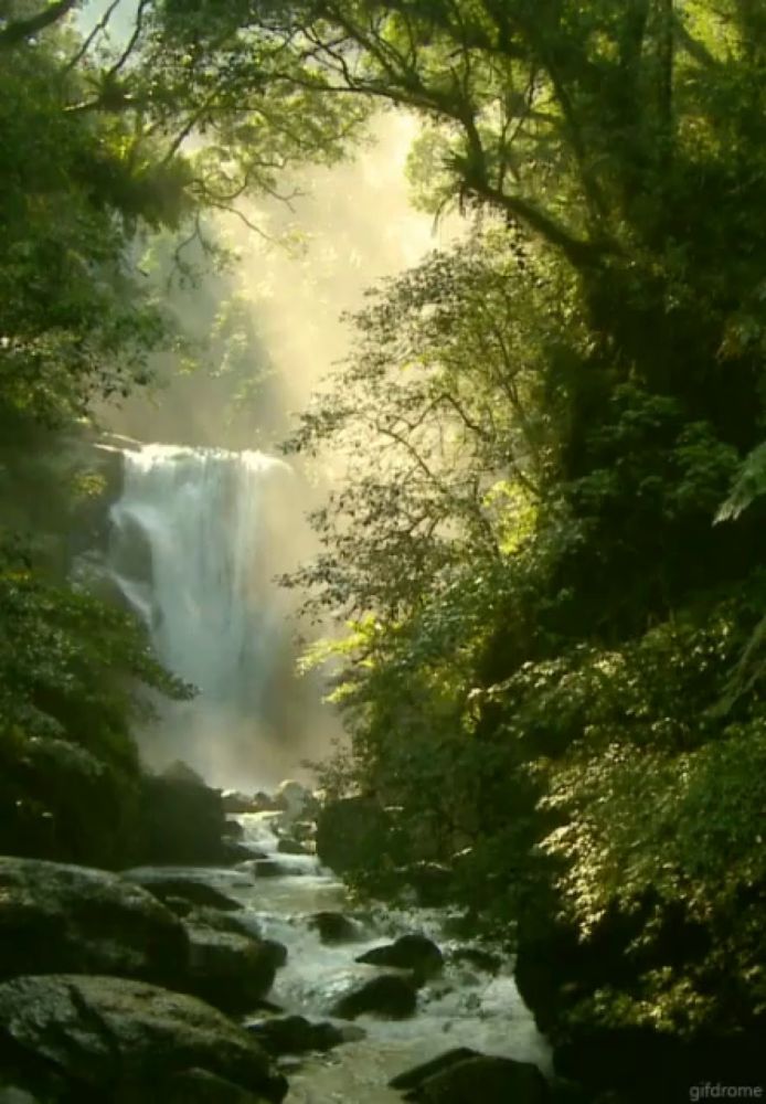 a waterfall is surrounded by trees and rocks in a gif from gifdrome