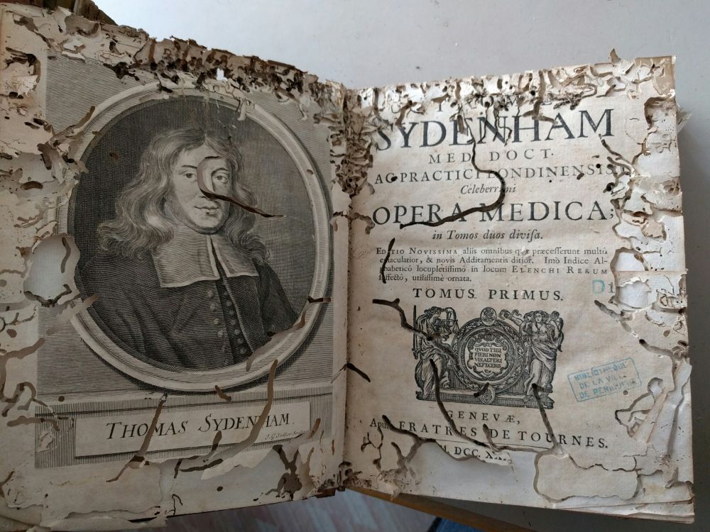 Photo du frontispice et de la page de titre d'un livre ancien mangé par les vrillettes. les bords et le corps du livre sont percés de cavités.