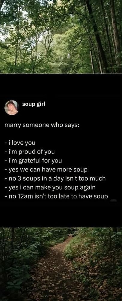 Post by Soup Girl, on a background photo of a forest

Marry someone who says:

I love you
I'm proud of you
I'm grateful for you
Yes we can have more soup
No 3 soups in a day isn't too much
Yes I can make you soup again 
No 12am isn't too late to have soup 