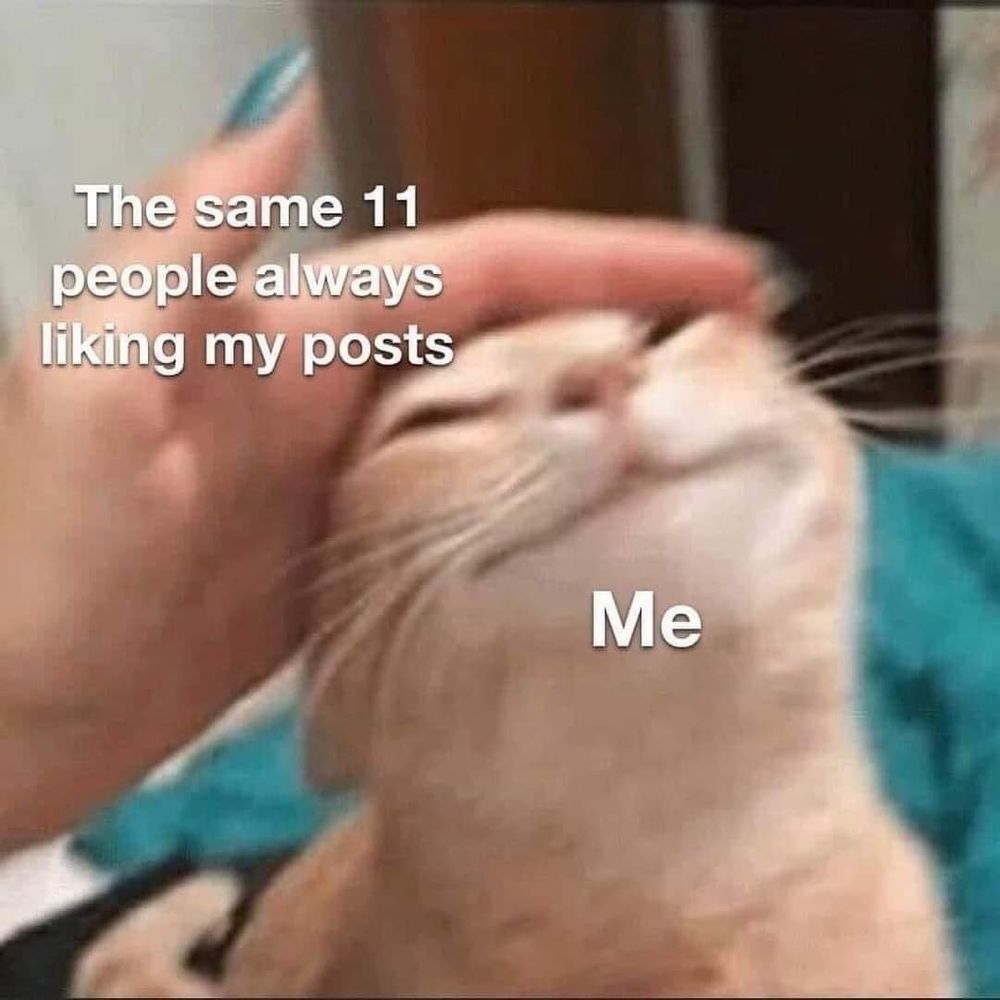A photo of a very pleased orange cat getting vigorous head pets. The cat is labeled me and the pettinc hand is labeled the same 11 people always liking my posts 