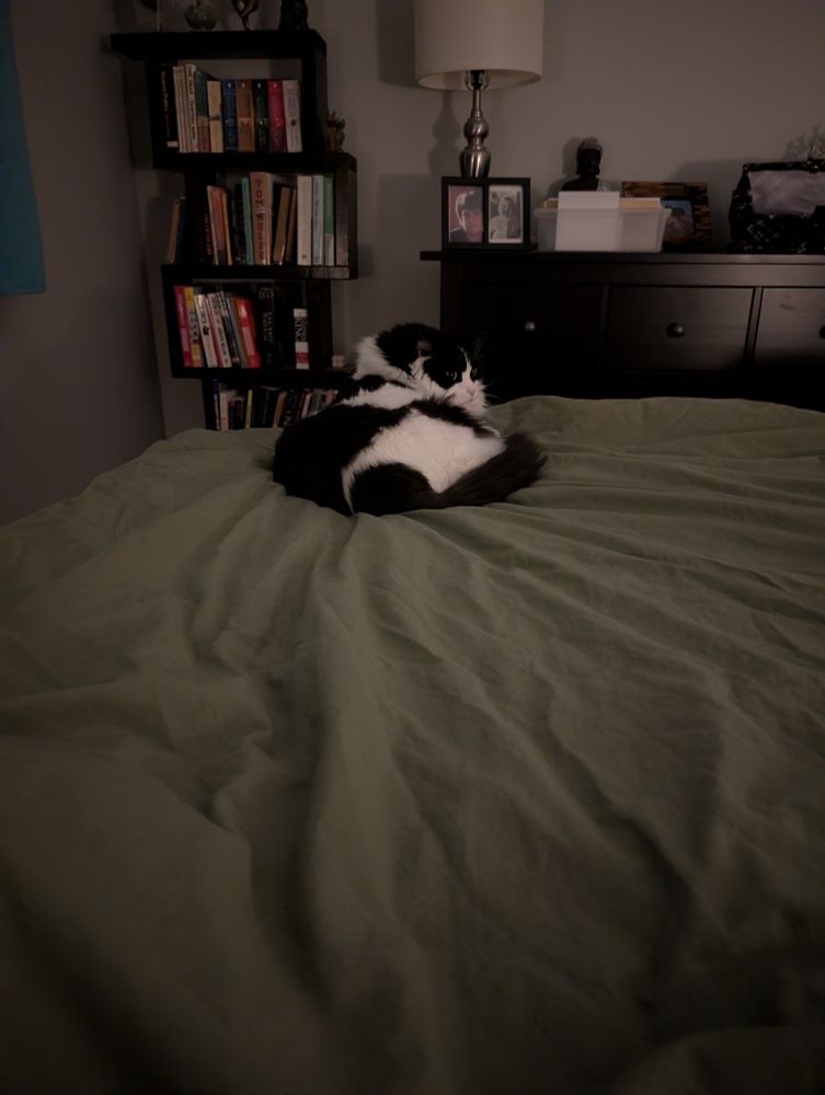 A black and white long hair tuxedo cat sits on the corner of a bed. The photo is taken from the perspective of a person getting in the bed. There's a chest of drawers and a bookshelf in the background 