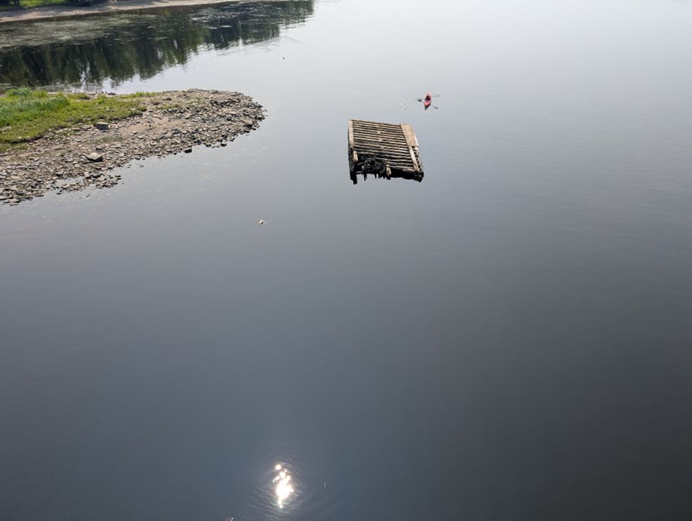 Shore of the Wolastoq River near where it meets the Nashwaak. A rocky sandy shore can be seen between the grass and the water. There's a rotting wood structure in the water, which is usually submerged. There's also a person in an orange kayak