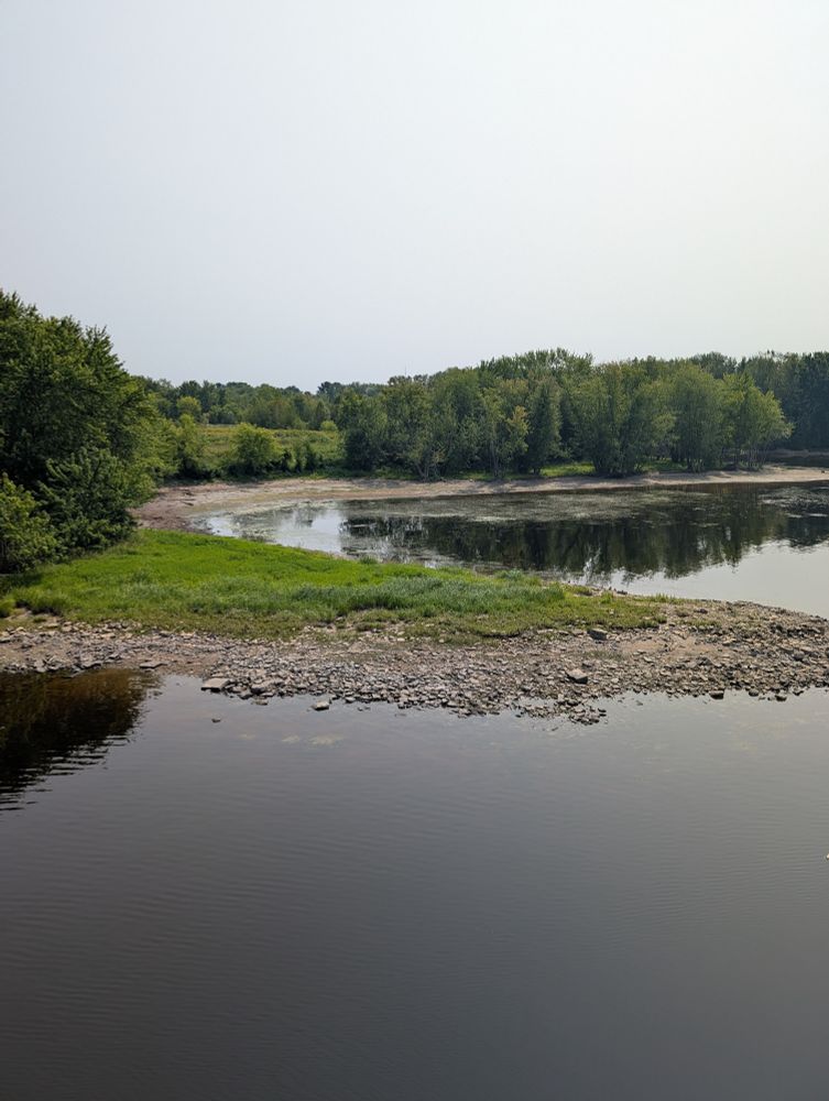 Shore of the Wolastoq River near where it meets the Nashwaak. A rocky sandy shore can be seen between the grass and the water. 