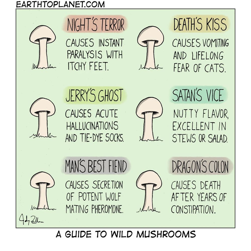 Six-panel comic. Identical mushrooms with the captions: NIGHT'S TERROR CAUSES INSTANT PARALYSIS WITH ITCHY FEET. JERRYS GHOST CAUSES ACUTE HALLUCINATIONS AND TIE-DYE SOCKS.
MANS BEST FIEND CAUSES SECRETION OF POTENT WOLF MATING PHEROMONE.
DEATH'S KISS CAUSES VOMITING AND LIFELONG FEAR OF CATS.
SATANS VICE NUTTY FLAVOR, EXCELLENT IN STEWS OR SALAD.
DRAGON'S COLON CAUSES DEATH AFTER YEARS OF CONSTIPATION.