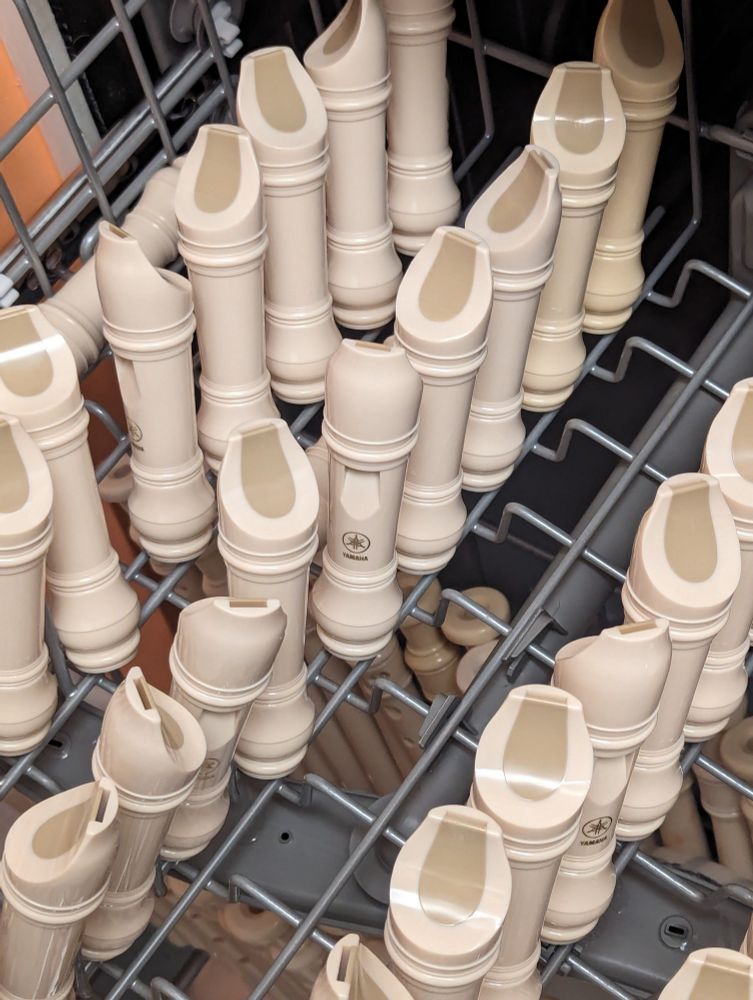 A dishwasher full of recorders is a thing that happens when you marry an elementary school music teacher.
