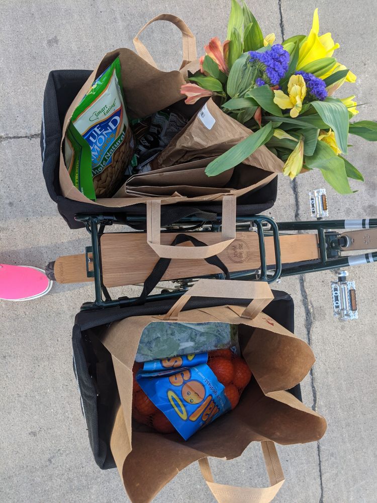 Bike panniers with grocery bags and a bouquet of flowers.