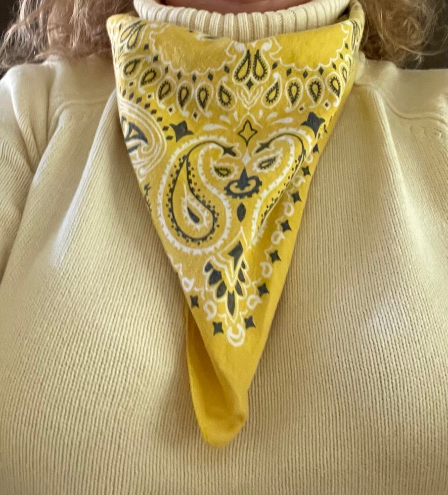 Yellow sweater and yellow handkerchief for today’s protest 