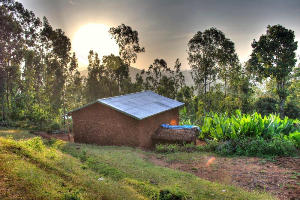 The house from the old llustration but as photograph. Rammed earth, reddish brown House with metal roof. Enset fields to the right, green grass in the foreground and trees in the background.
