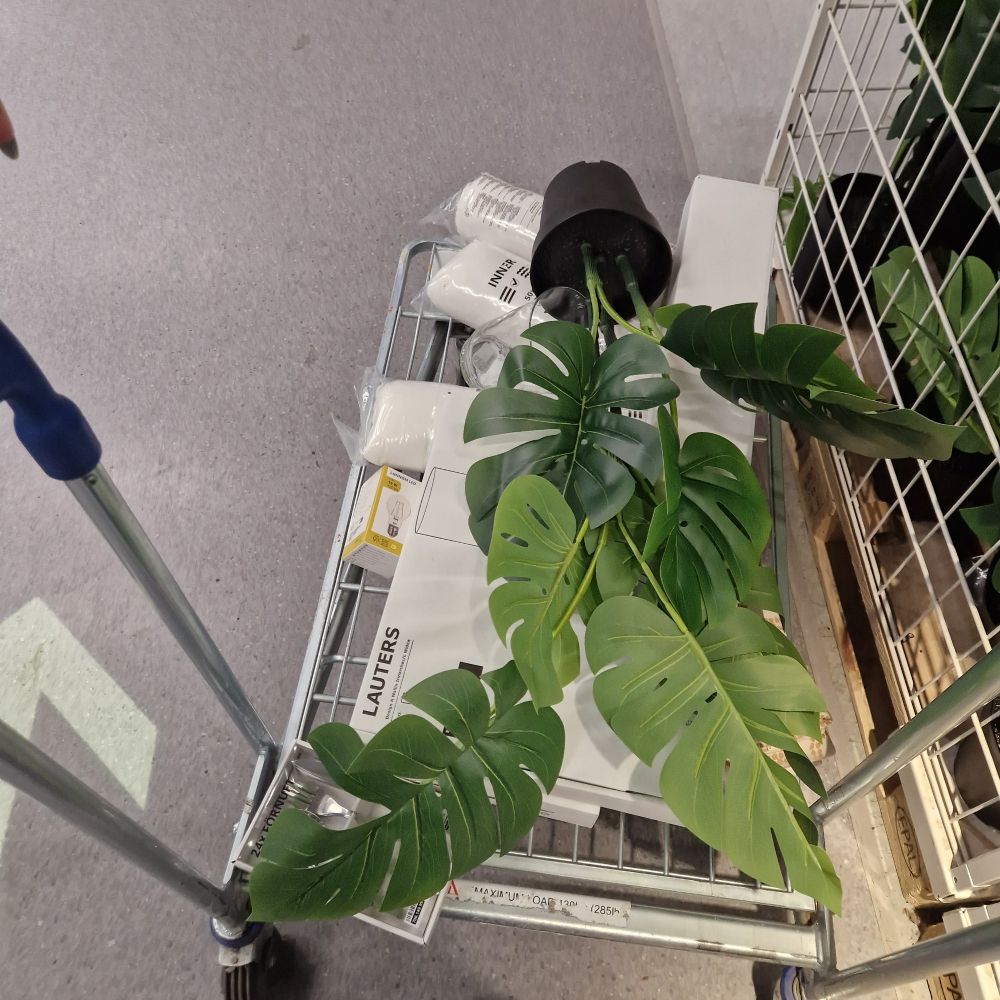 Ikea trolley with boxes and a fake plant