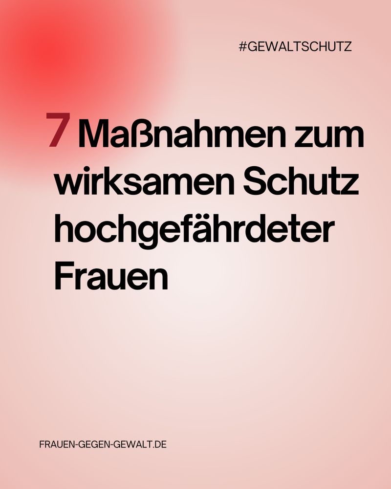 Titelgrafik mit der Aufschrift „Sieben erforderliche Schritte zum Schutz – Maßnahmen zum wirksamen Schutz hochgefährdeter Frauen“. Im Hintergrund das Logo FRAUEN-GEGEN-GEWALT.DE und Hashtag #GEWALTSCHUTZ. Gestaltung in Rosa- und Violetttönen.