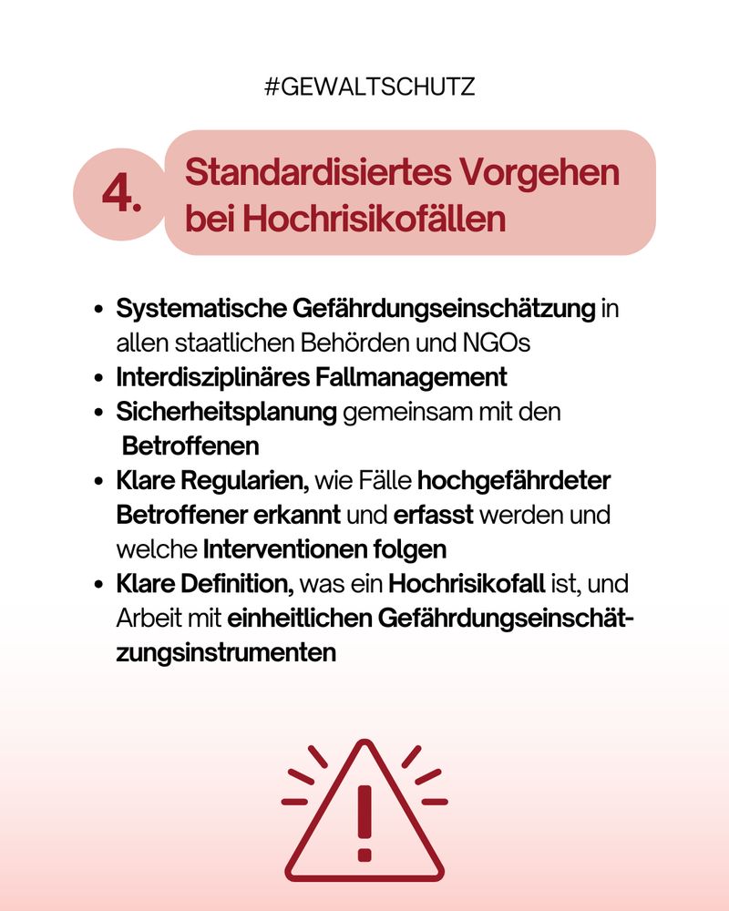Rosa Infografik mit der Überschrift „Standardisiertes Vorgehen bei Hochrisikofällen“. Aufzählung: Systematische Gefährdungseinschätzungen; interdisziplinäres Fallmanagement; klare Definition und Kriterien für Hochrisikofälle; Sicherheitsplanung mit Betroffenen.