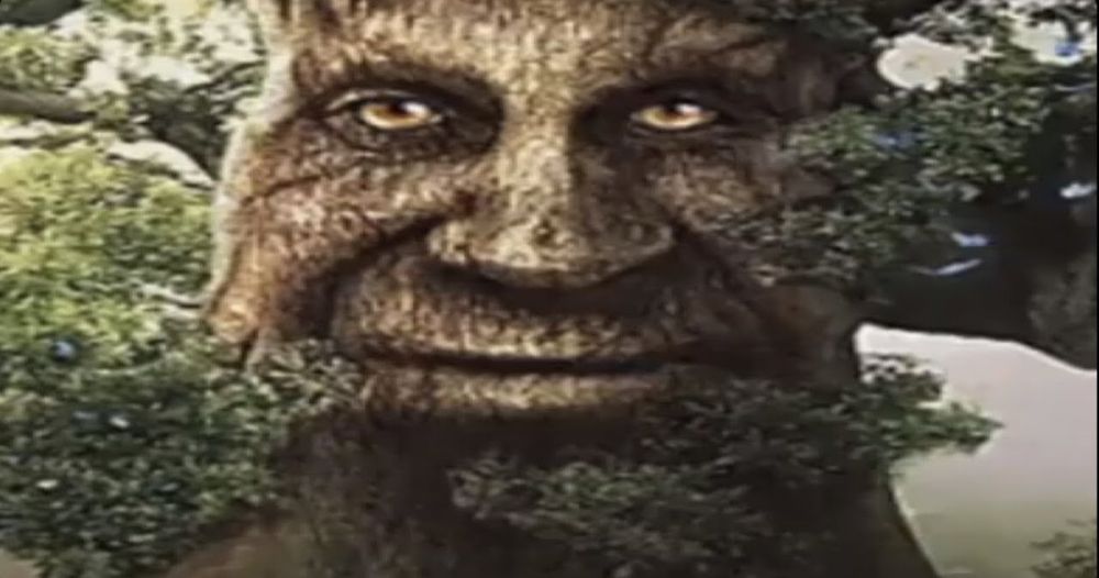 the wise mystical tree