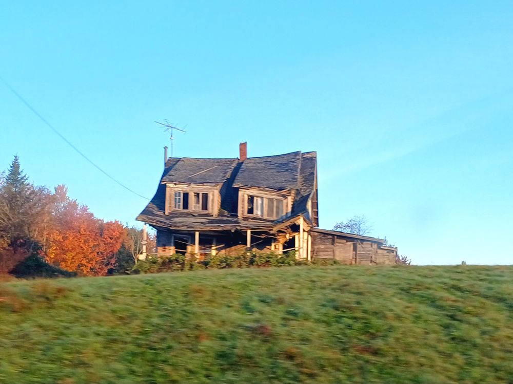 Dilapidated house that is all wonky and sad. Grass field in front. Blue sky above. With some autumn orange shrubbery on the left.
