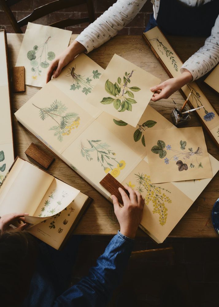 Inside the creative process of designing the cabinet 