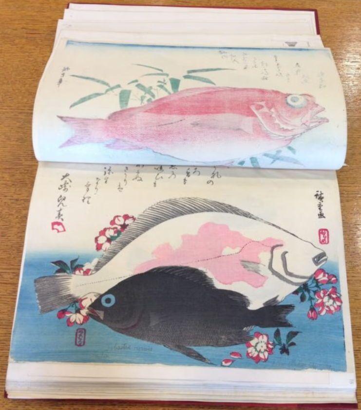 The print of 'Hirame' and 'Mebaru' (flounder, mebaru and cherry blossom) relates to the month of March: ‘The taste of fish and the sweet smell of blossoms; both reach their peak in the spring.’