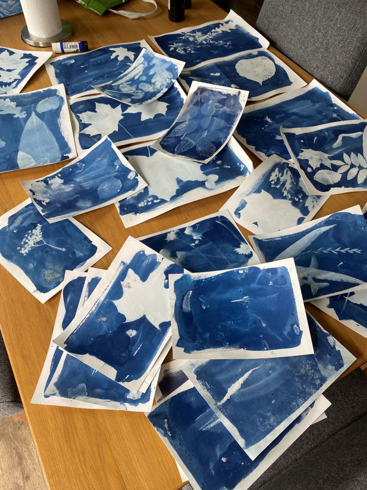 Cyanotype images of leaves, spread out on a table