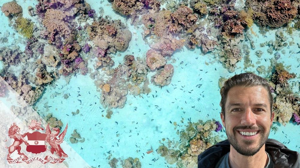 Sea Cucumbers: The Janitors of the Sea | Cody Clements