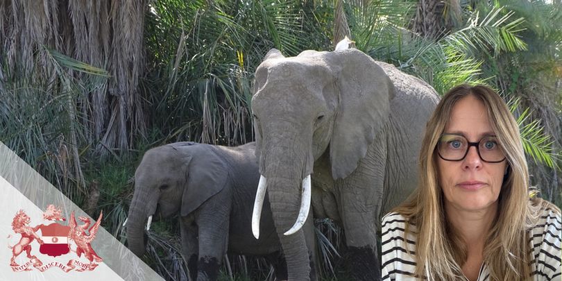 Dr Lucy Bates in the right hand corner of the landscape image, two elephants behind her. 