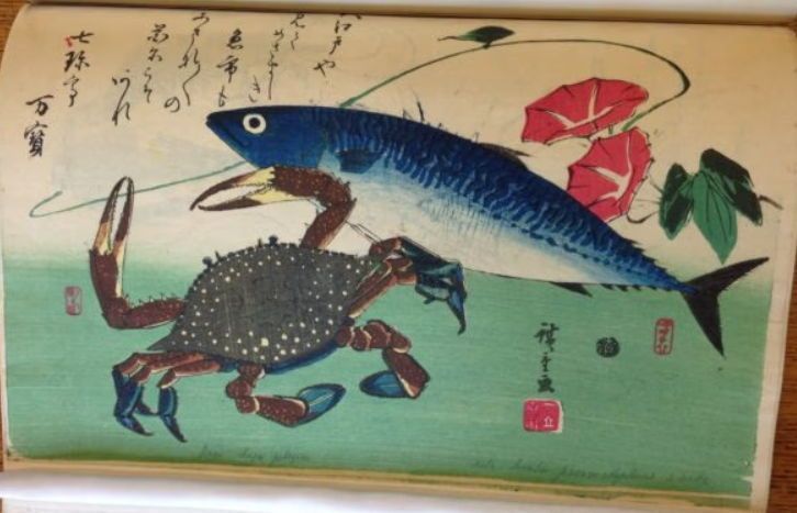 For summer, Hiroshige has chosen to depict a crab and a mackerel, accompanied by morning glory: 'The fish market comes to life at dawn like a great morning glory opening up.'