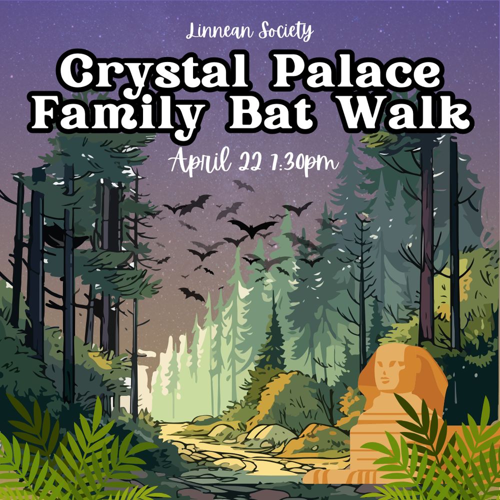 Graphic reads "Crystal Palace Family Bat Walk April 22 7:30pm" and shows a dusk scene of a forest full of bats, with a sphinx statue hiding in the foliage.