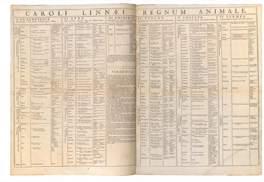 Systema Naturae, a double page spread chart, tightly packed with names of animal species. It is split into Quadrapedia, Aves, Amphibia, Pieces, Insecta and Vermes.

