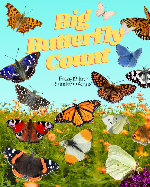 A colourful graphic showing lots of British butterflies superimposed over a field of flowers. Text reads "Big Butterfly Count, Friday 18 July - Sunday 10 August".