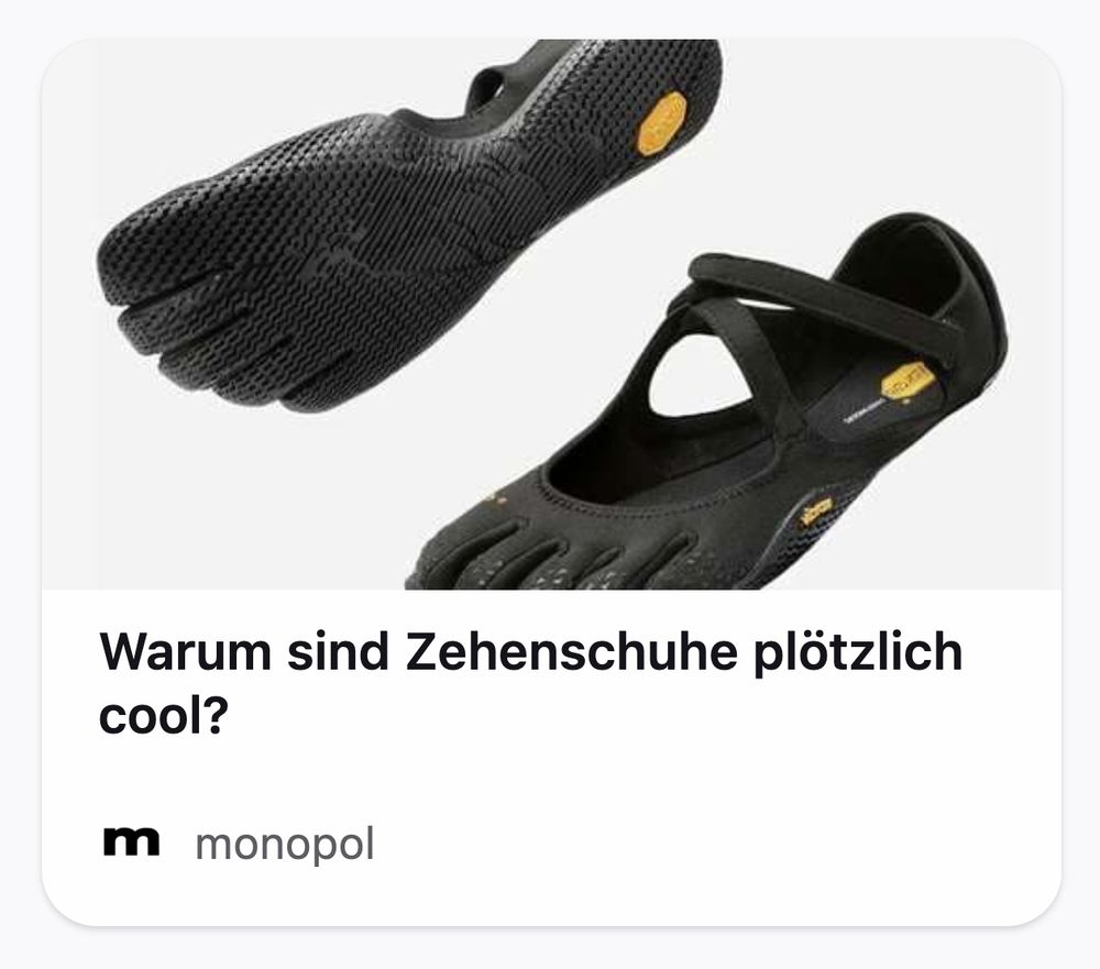 screenshot vom Monopol Magazin mit Barfußzehenschuhen und der Frage warum diese plötzlich cool sein