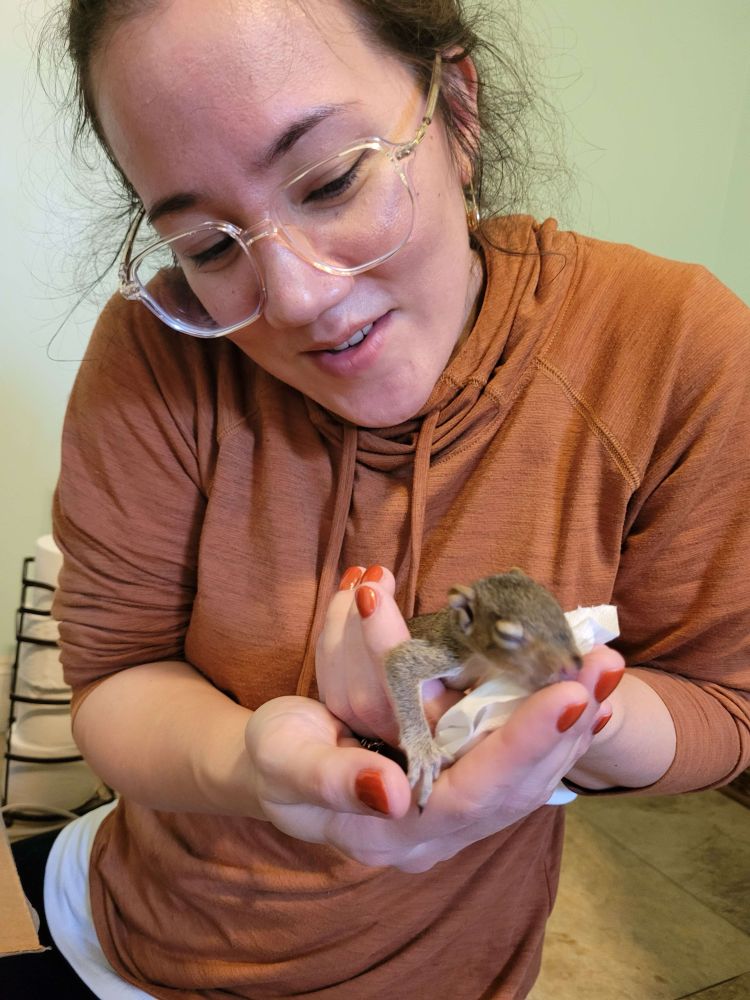 same but holding it to show austin so he can show the mysterious funny guy known as dan who can only be found on dice funk and nowhere else