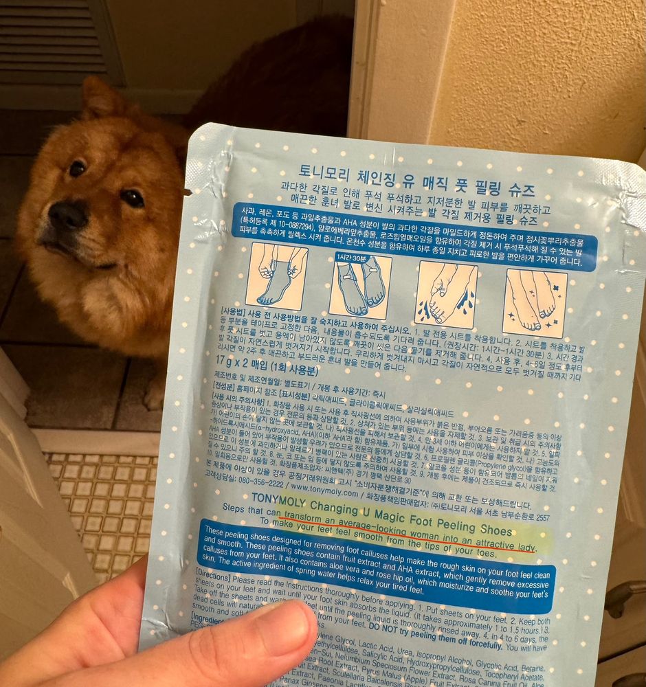 i am holding up a pack of tolymoly brand “changing u magic foot peeling shoes” which are lil socks with goo in them to peel several layers of skin off your feet (i have been told it is equal parts satisfying and disgusting so have been excited to try it), however the instructions say it will “transform an average-looking woman into an attractive lady” 

mister egg does not approve (chow mix dog in the background looking up at me like “bank accounts are a scam created by the shadow government”)