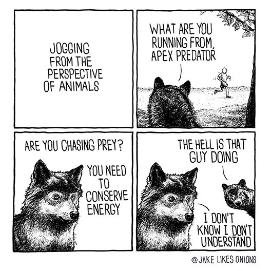 three panel comic by jake likes onions
jogging from the perspective of animals

wolf watching a person run saying “what are you running from apex predator”

wolf saying “are you chasing prey?” “you need to conserve energy”

other wild pops in from the side saying “the hell is that guy doing” 
first wild says “i don’t know i don’t understand”