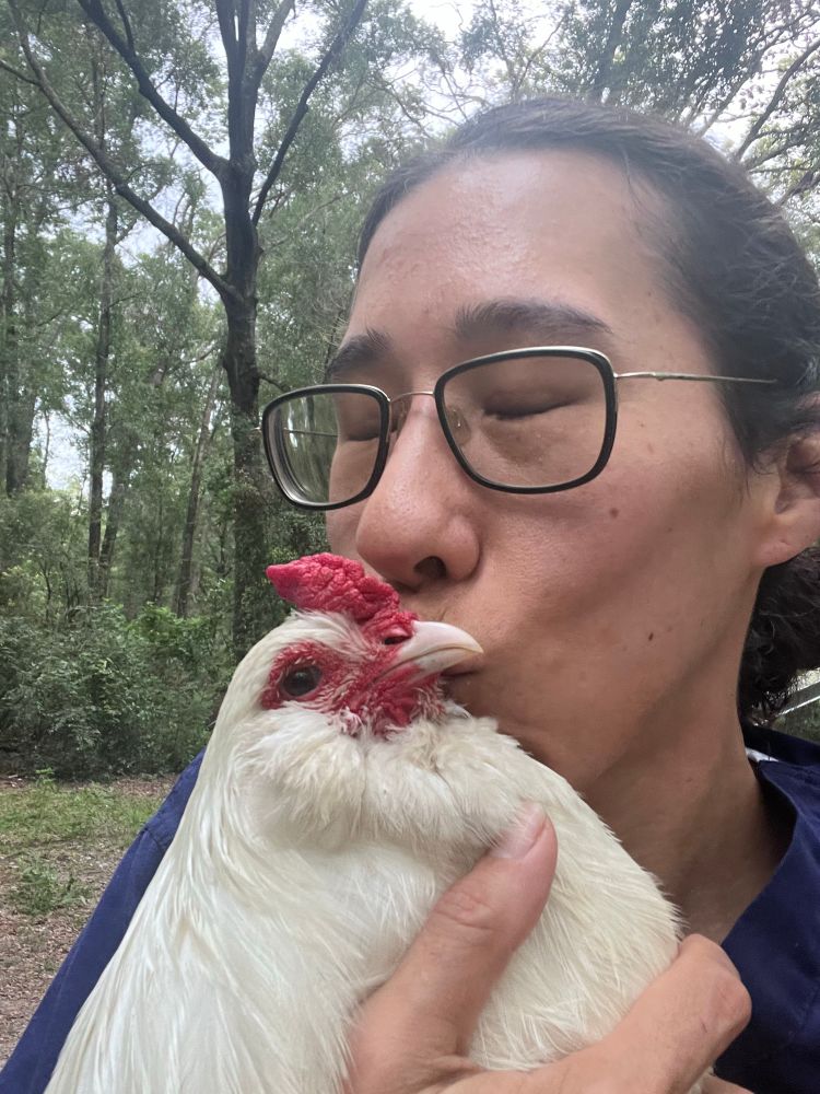 my sister harriet a korean woman with black wire glasses kissing her rooster vash the stampede

I TOLD HER NEVER KISS HER CHICKENS BECAUSE OF BIRD FLU she said she’ll stop but then this is the pic she sent me today 😭 