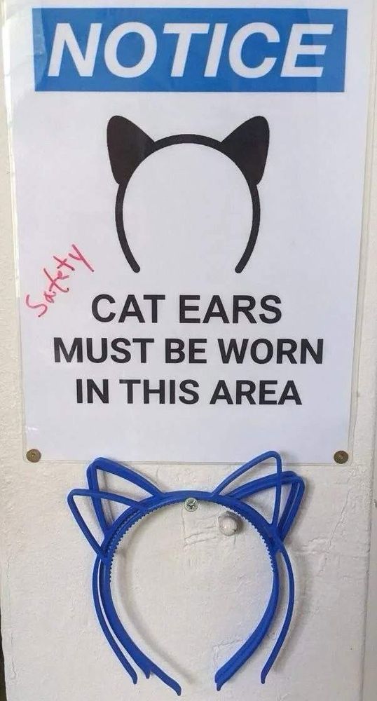 sign that says notice cat eats must be worn in this area, the word safety in red is handwritten on the side and there are plastic cat ear headbands hanging on a nail below