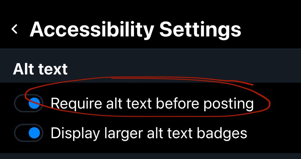 screenshot of bluesky Accessibility Settings
subheading says Alt text
two toggle options turned on saying
Require alt text before posting
and
Display larger alt text badges

the top option is circled in red

and you suddenly become extremely cool and powerful by reading this and following directions of disabled people and even more street cred for sharing it and a life of abundance and joy in radical community just unfolds in front of you