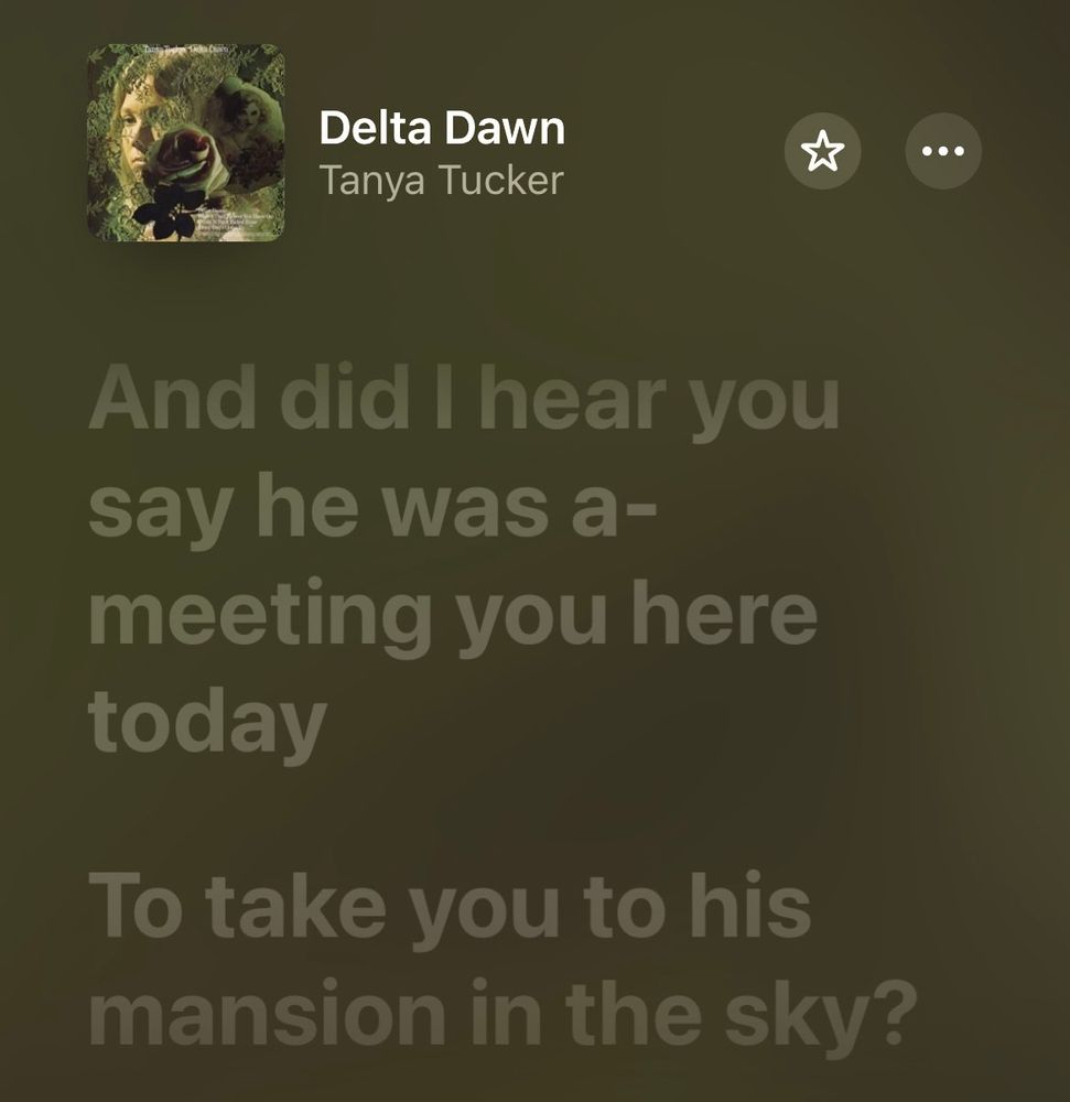 Excerpt of lyrics to the song ‘Delta Dawn’ by Tanya Tucker

“And did I hear you say he was a-meeting you here today //
To take you to his mansion in the sky?”