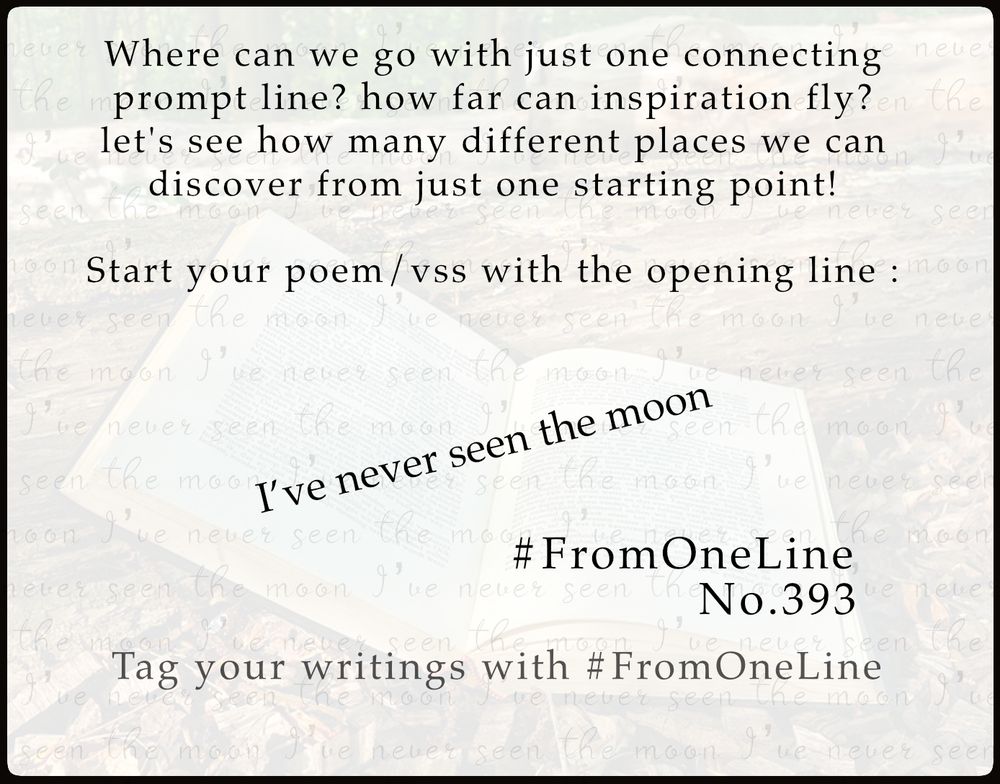 #FromOneLine 393

Where can we go with just one connecting #prompt line?  Let's see how many different places we can discover from just one starting point!  Start your poem/vss with the opening line :

I've never seen the moon

#FromOneLine 393 #prompt