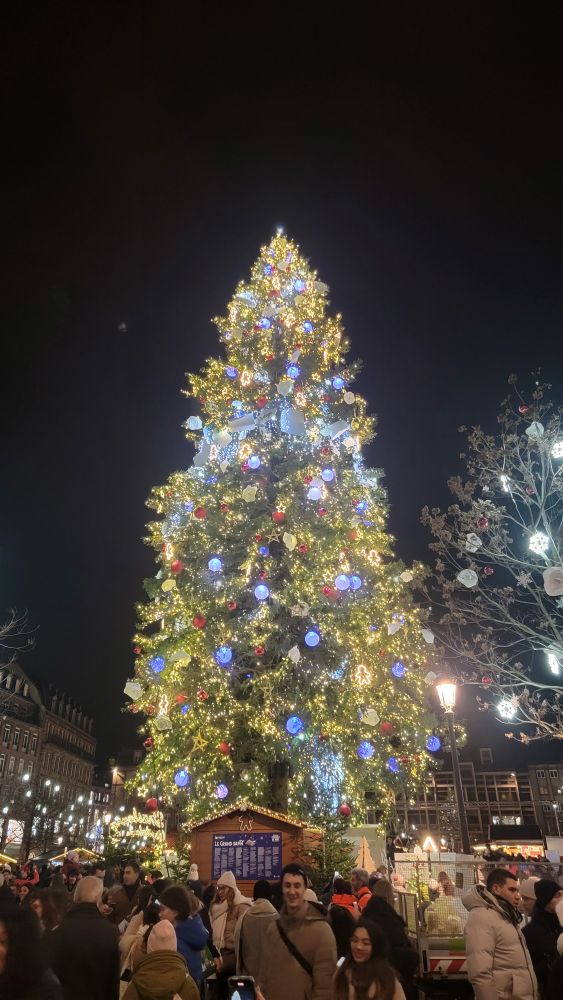 A photo of Strasbourg's 2024 Christmas tree, illuminated, taken on December 21, 2024.